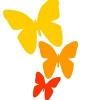 Butterfly Effects Logo