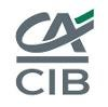 CACIB Logo