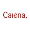 Caiena Logo