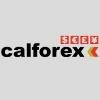 Calforex Foreign Exchange Logo