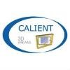 Calient Networks Logo