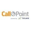 CallPoint New Europe Logo