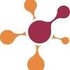 Calsoft Systems Logo