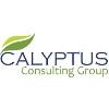 Calyptus Consulting Group Logo