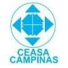 Centrais de Abastecimento de Campinas (CEASA/CAMPINAS) Logo