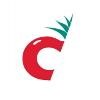 Canadawide Logo