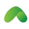Canopy Logo