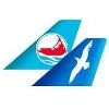 Cape Air Logo