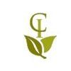 Capital Insight Partners Logo