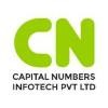 Capital Numbers Logo