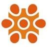 Caprus IT Logo