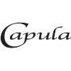Capula Investment Management Logo