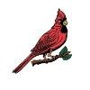 Cardinal of Minnesota Logo