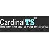 Cardinal Technology Solutions Logo