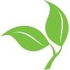 Caris Healthcare Logo
