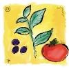 Carmine's Gourmet Market Logo