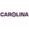 Carolina Auto Auction Logo