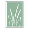 Carolinas Center for Surgery Logo