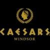 Casino Windsor Logo