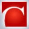 Castle & Associates Logo