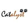 Catalyst Consulting Services Logo