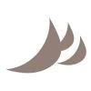 Cate Street Capital Logo