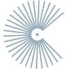 Cato International Logo