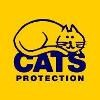 Cats Protection Logo