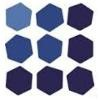 Causeway Capital Management Logo