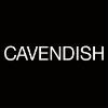 Cavendish (Brazil) Logo