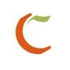 Cavintek Software Logo
