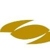 CB Constantini Logo