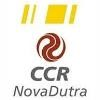 CCR Nova Dutra Logo