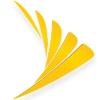 CCT Wireless Logo