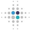CDC Foundation Logo