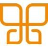 CDS Life Transitions Logo