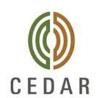 Cedar Management Consulting Logo