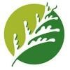 Cedar Park Logo