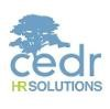 CEDR Solutions Logo