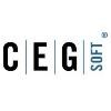CEGsoft Logo
