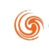 Celerity Information Services Logo