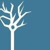Cell Signaling Technology Logo