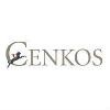 Cenkos Securities Logo