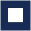 Center for Alternative Sentencing & Employment Services Logo