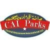 Central Amusement International Logo