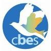 Central Boston Elder Services Logo
