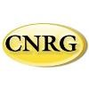 Central Network Retail Group Logo