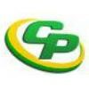 Central Painting Logo