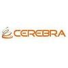 Cerebra Consulting Logo