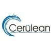 Cerulean Information Technology Logo